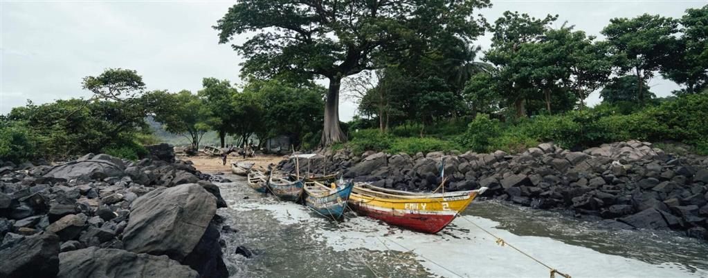 On the Shoulders of Giants: Robert and Edith Roseberry