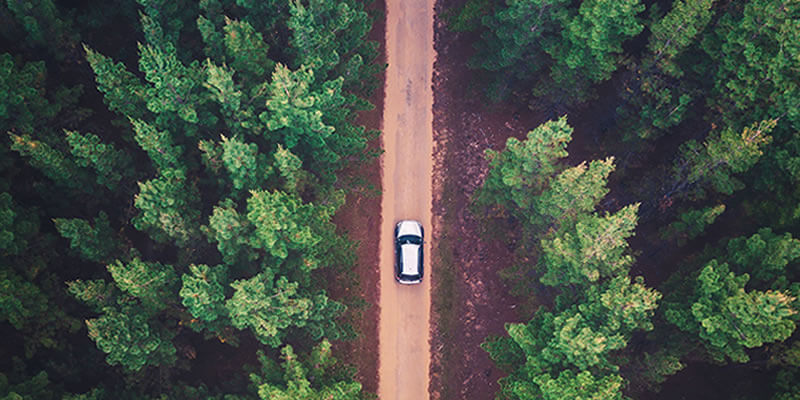 An Unforgettable Test Drive